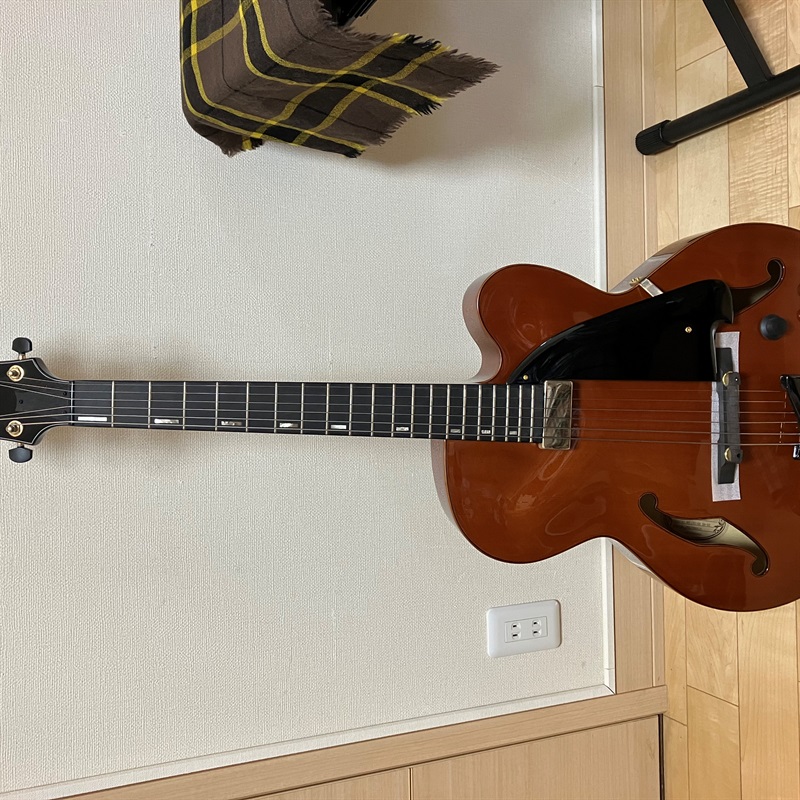 Ibanez AFC151の画像